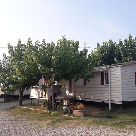 Camping Vila Village Sant Feliu de Buixalleu 외부 사진