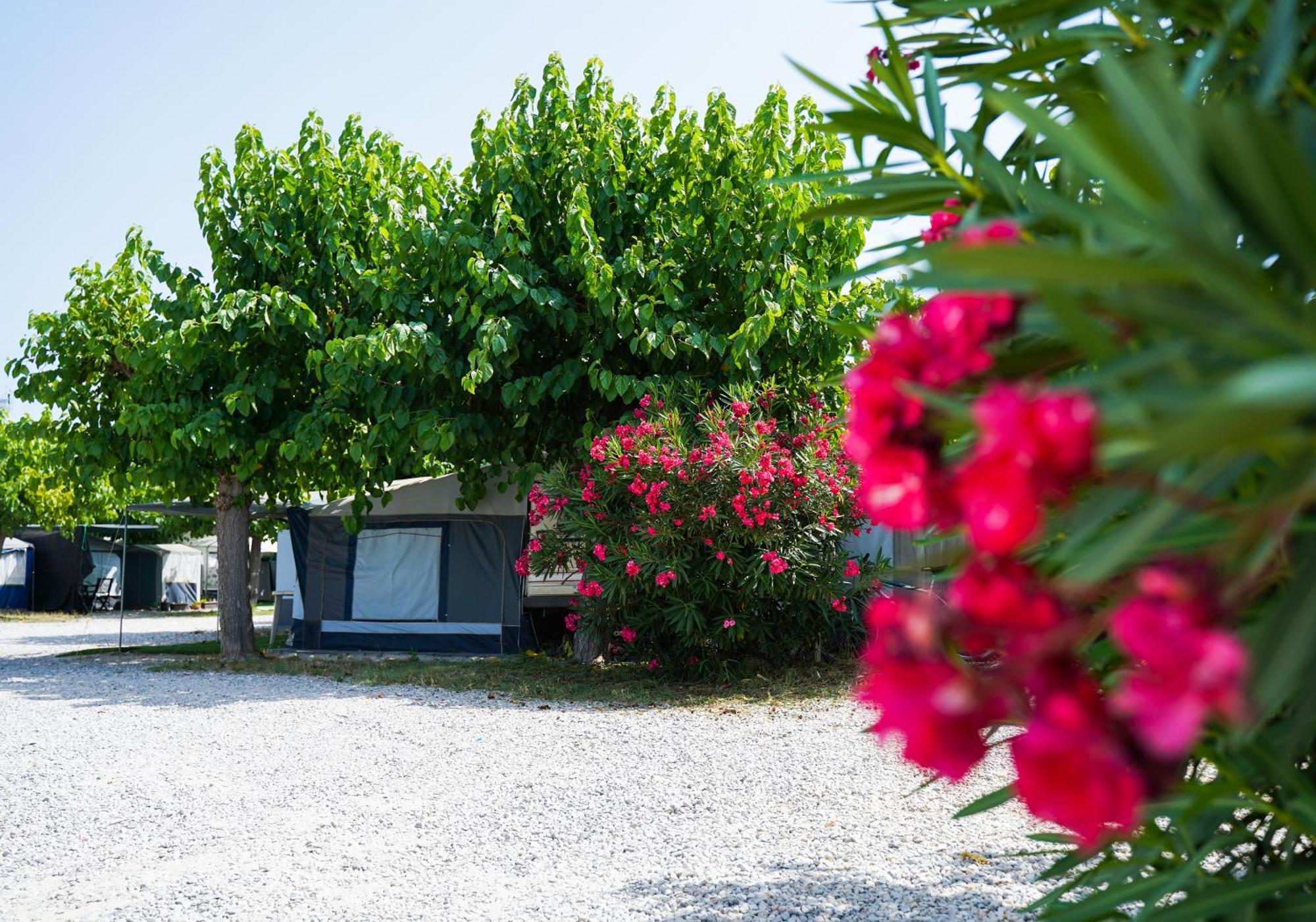Camping Vila Village Sant Feliu de Buixalleu 외부 사진